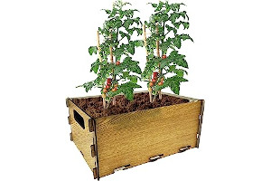 Huerto Con Cajones De Tomate 718RqLT6oUL._AC_UL320_